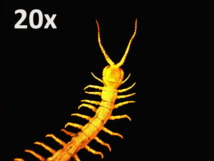 Thumbnail 10